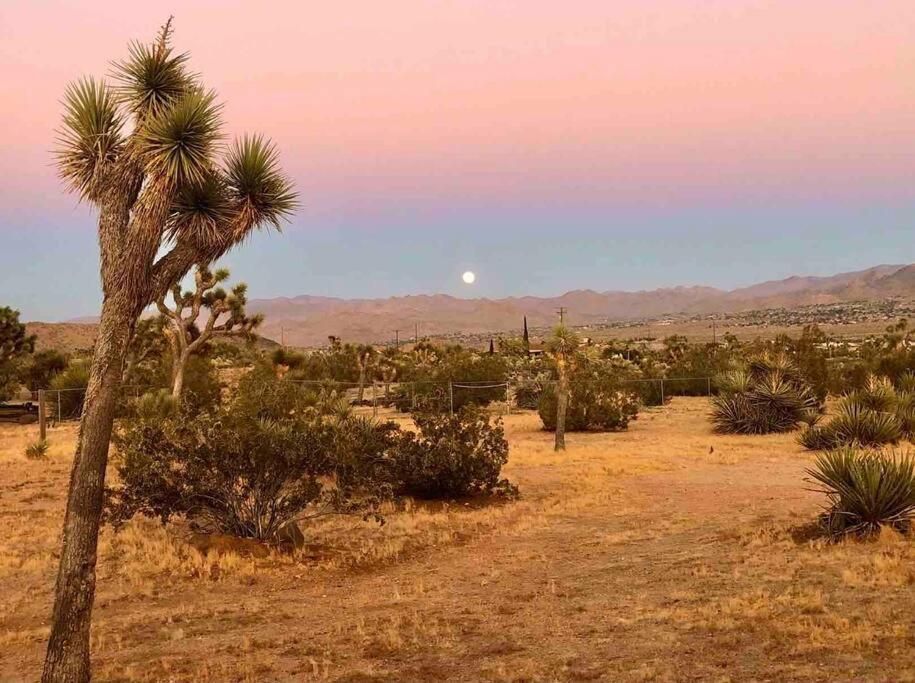 Desert Dreamer Yucca Valley Exterior photo
